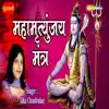 Alka Chandrakar - Mahamrityunjay Mantra - Single